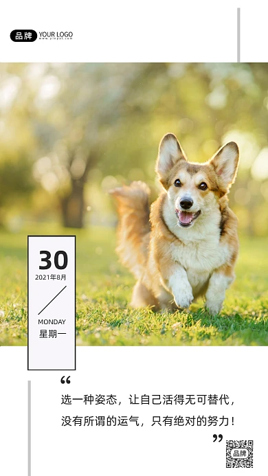 青春励志小狗奔跑日签摄影图海报