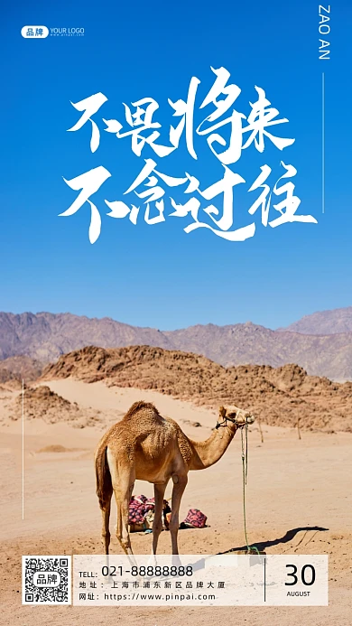 青春励志企业文化沙漠骆驼摄影图海报