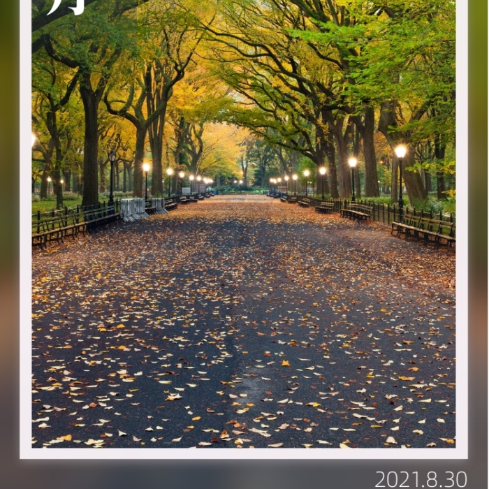 八月秋日落葉公園風景攝影圖海報