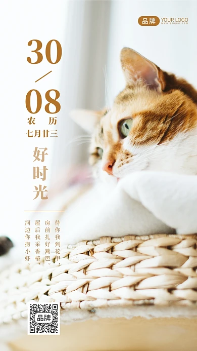 八月你好祝福心愿可爱猫咪摄影图海报