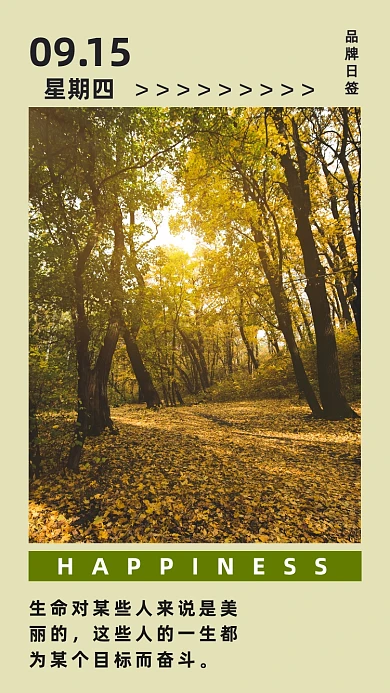 树林落叶秋天小清新摄影图海报