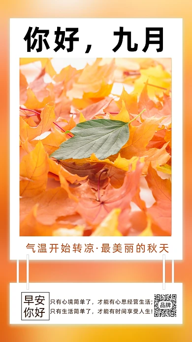 你好九月早安枫叶风景摄影图海报