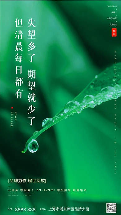 植物树叶水滴房地产绿色宣传摄影图海报