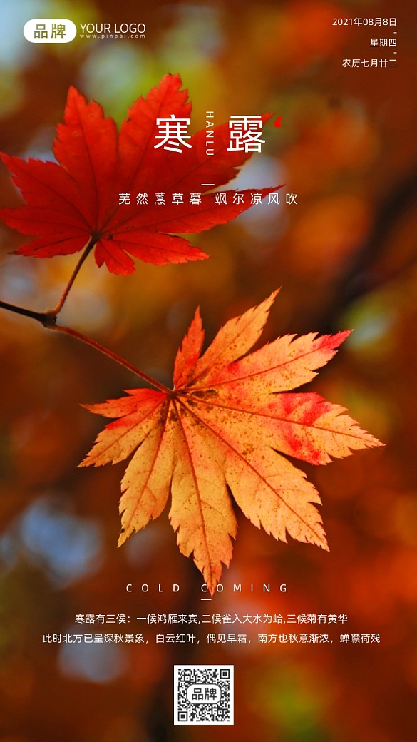 寒露節(jié)氣秋天落葉清新攝影圖海報