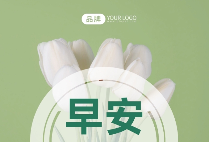 早安世界清新百合花攝影圖海報(bào)
