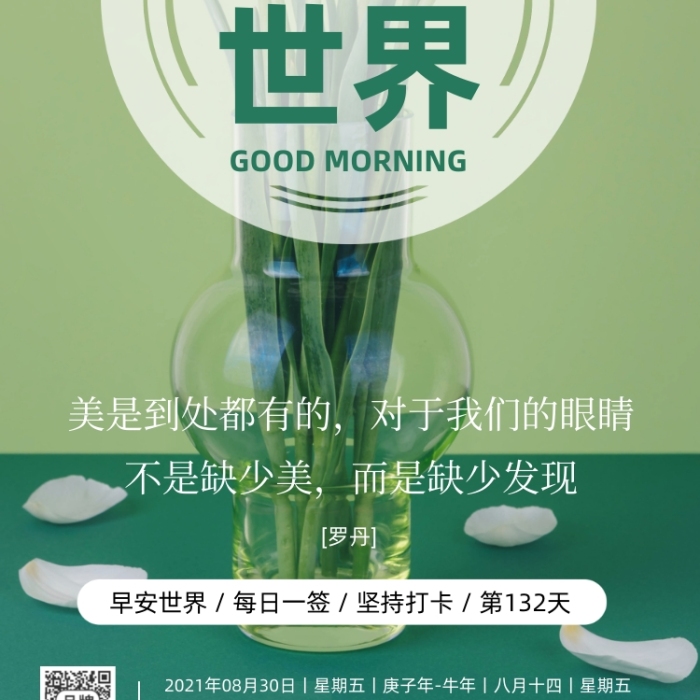 早安世界清新百合花攝影圖海報(bào)