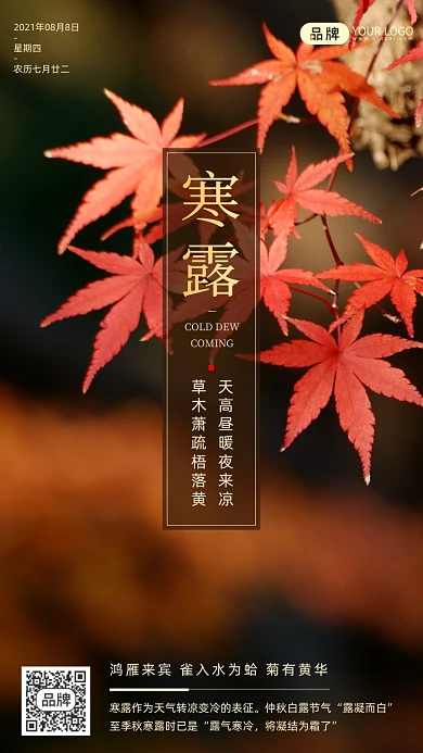 寒露二十四节气秋天红枫叶摄影图海报