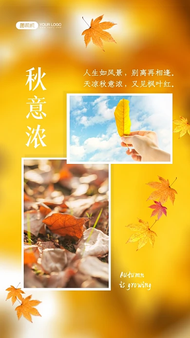 秋意时光相册拼图简约手机海报