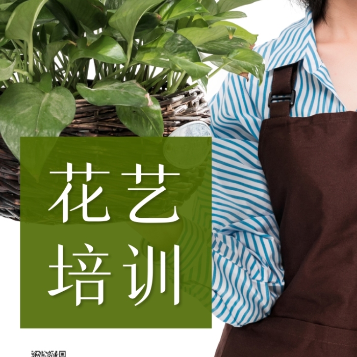 花藝培訓(xùn)美女老師盆栽攝影圖海報(bào)