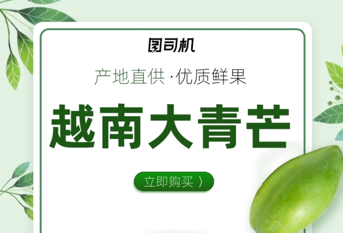 夏季水果青芒清新電商豎版海報