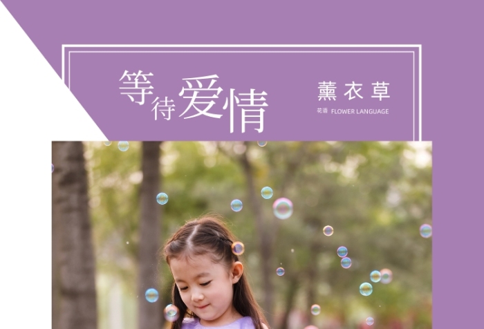 薰衣草等待愛情清新攝影圖海報(bào)