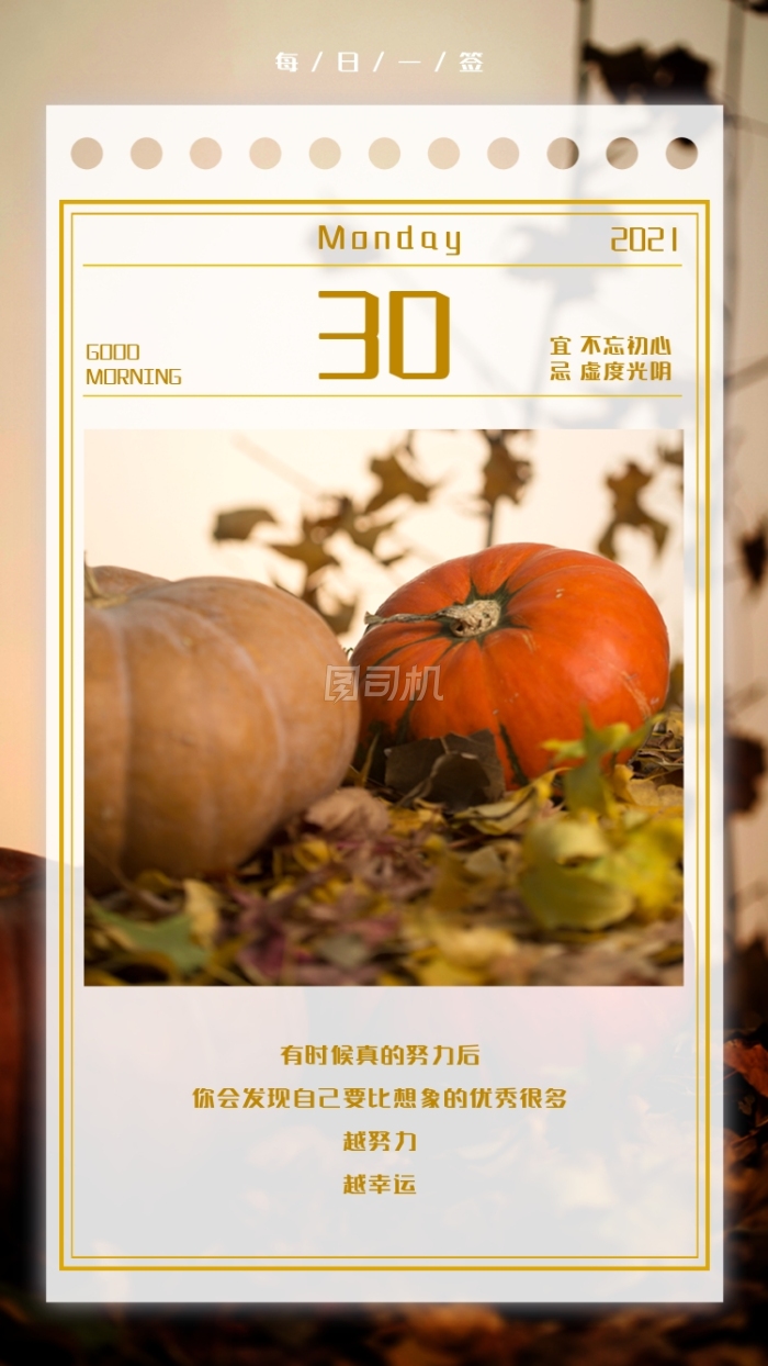努力励志文字清新南瓜摄影图海报 努力励志文字清新南瓜摄影图海报