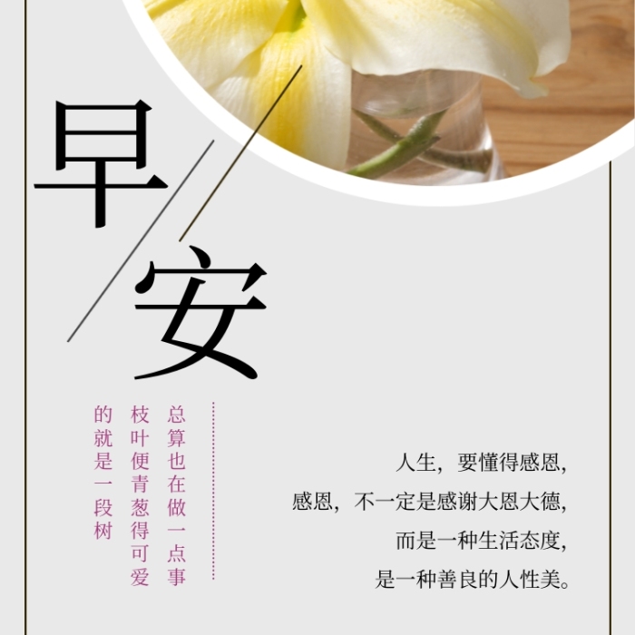 早安日簽小清新百合花攝影圖海報