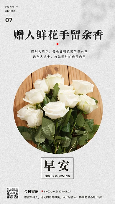 早安今日寄语日签白色玫瑰花摄影图海报