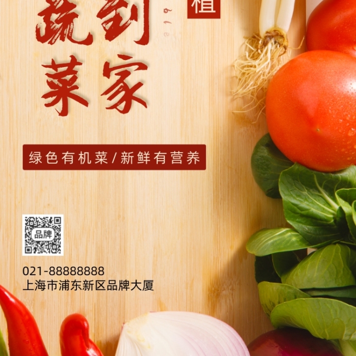 有機(jī)蔬菜配送辣椒洋蔥青菜攝影圖海報(bào)