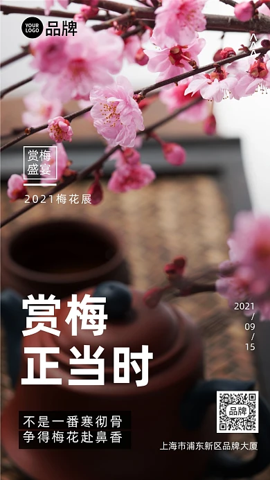 梅花展梅花摄影图海报