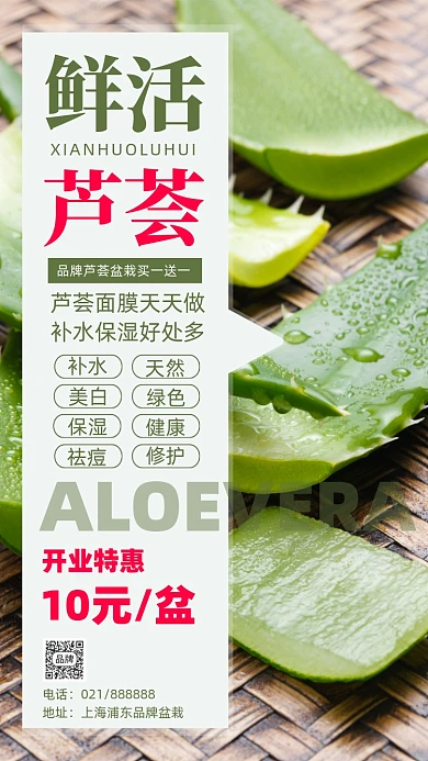 鲜活芦荟开业特惠宣传摄影图海报