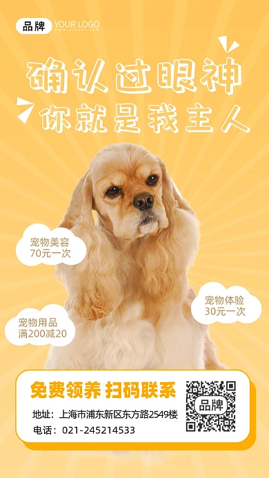 宠物可爱狗狗摄影图海报