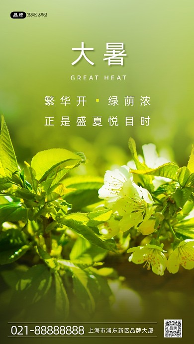 大暑節(jié)氣陽光照射葉子花蕊攝影圖海報