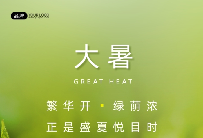 大暑節(jié)氣陽光照射葉子花蕊攝影圖海報