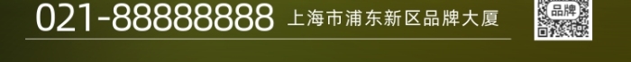 大暑節(jié)氣陽光照射葉子花蕊攝影圖海報