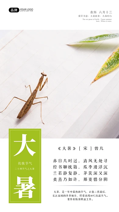 大暑节气螳螂在纸上叶子方框摄影图海报