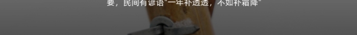霜降節(jié)氣籬笆上的雪簡約風(fēng)攝影圖海報