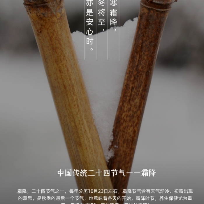 霜降節(jié)氣籬笆上的雪簡約風(fēng)攝影圖海報