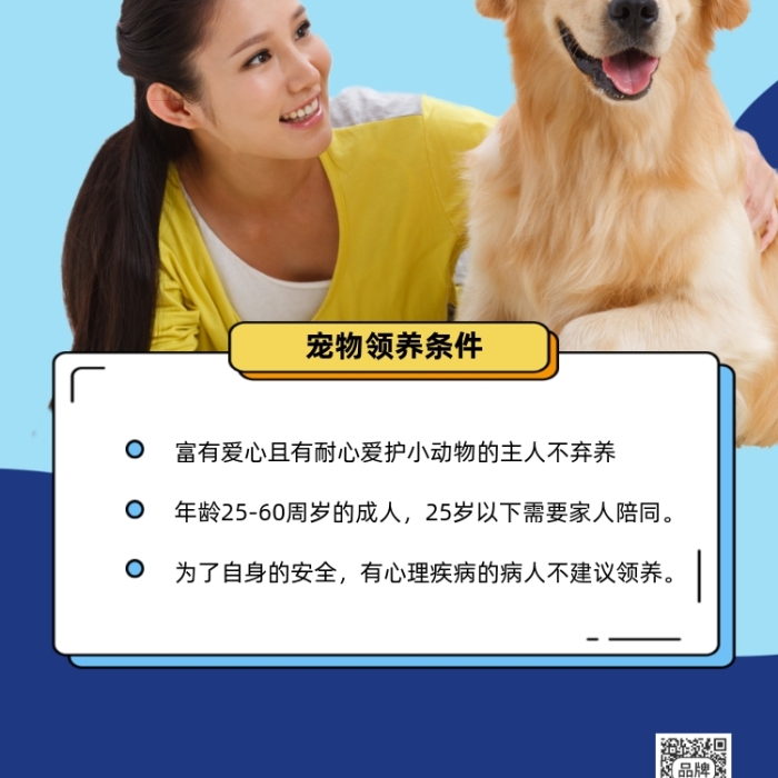 寵物領(lǐng)養(yǎng)卡通金毛犬動物收容宣傳