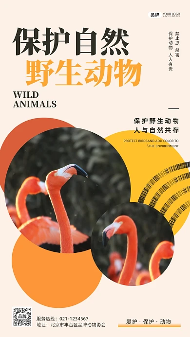 保护自然野生动物摄影图海报