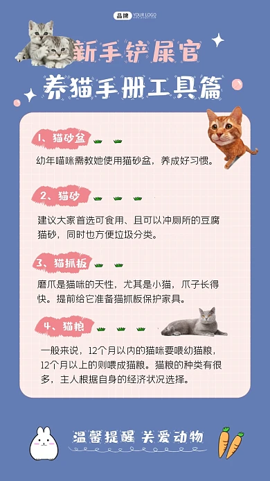 新手铲屎官养猫手册工具篇海报