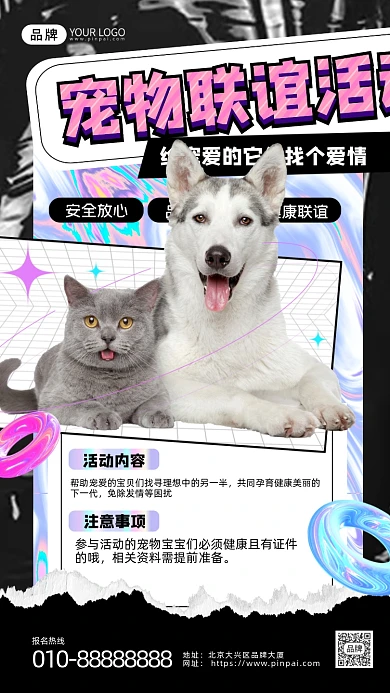 宠物联谊活动狗狗摄影图海报