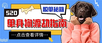 单身狗渡劫指南公众号首图