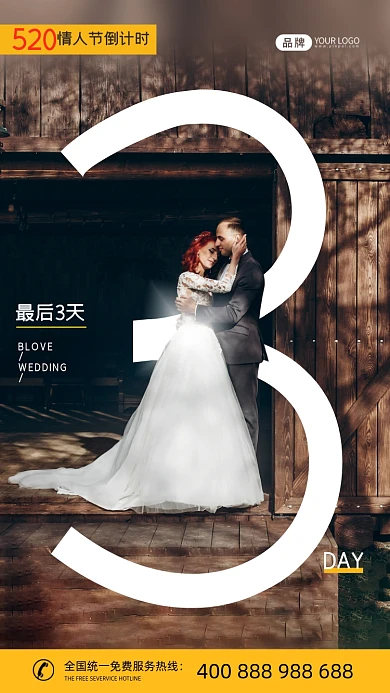 520倒计时新婚夫妇拥抱摄影图海报