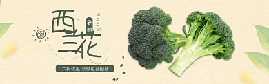 绿色水果蔬菜西兰花促销banner