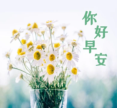 小清新你好早安花卉朋友圈封面
