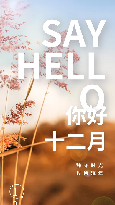 最期待的十二月你好海报