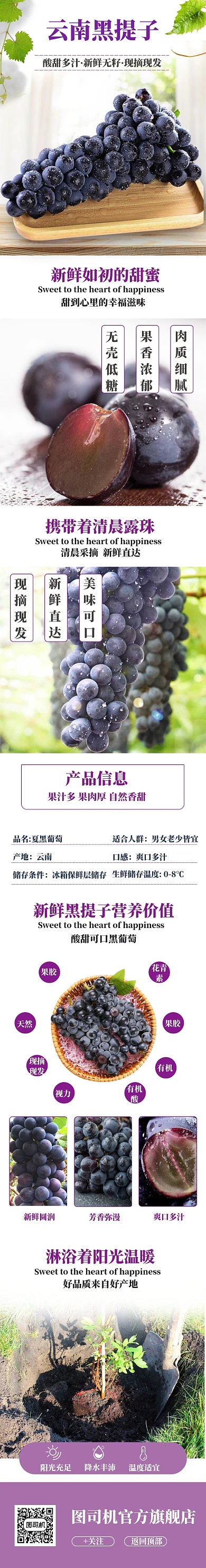 清新无籽黑提子电商淘宝详情页