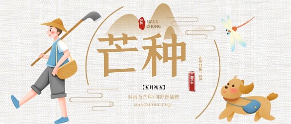 芒種節(jié)氣卡通簡約公眾號首圖