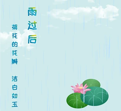 夏季荷花洁白如玉雨小清新朋友圈封面