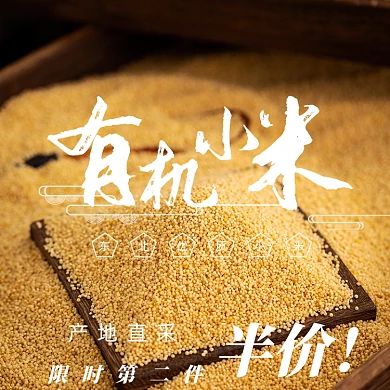 有机小米粮食农产品主图直通车