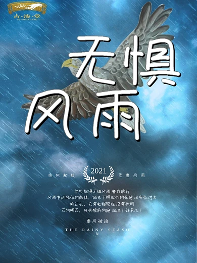 坚持励志无惧风雨质感字体设计雄鹰翱翔企业文化海报设计