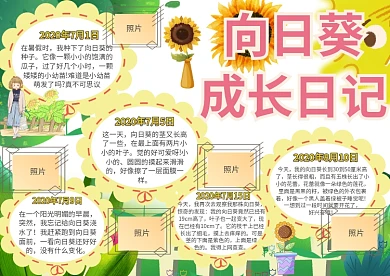向日葵成长日记动植物观察小报手抄报模板