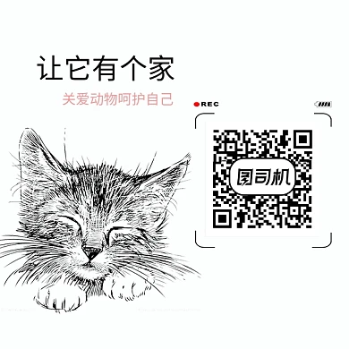 卡通可爱手绘小猫二维码