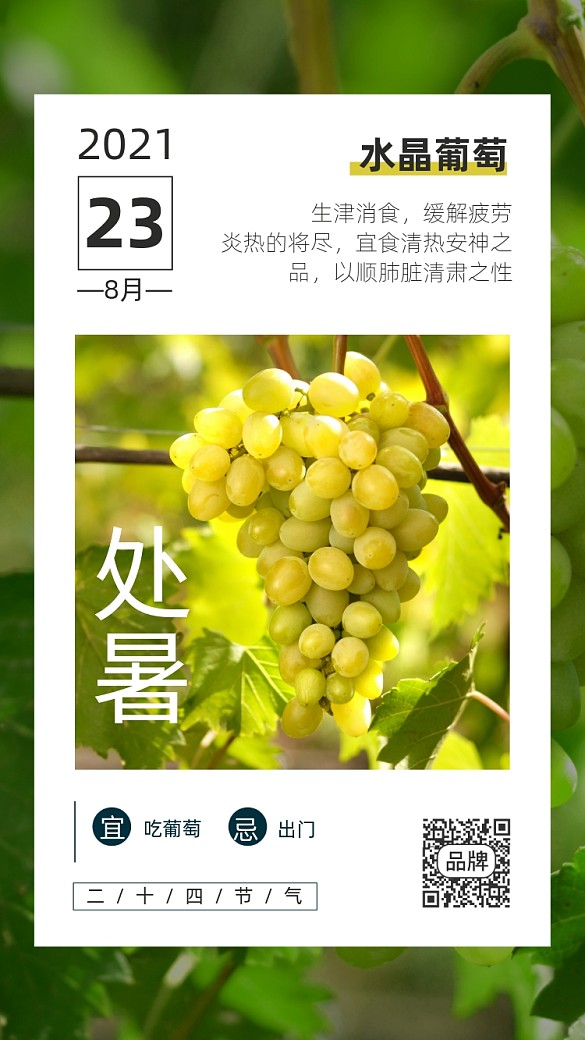 24節(jié)氣處暑簡約風攝影圖海報