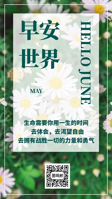 绿色摄影早安问候日签月签菊花手机海报