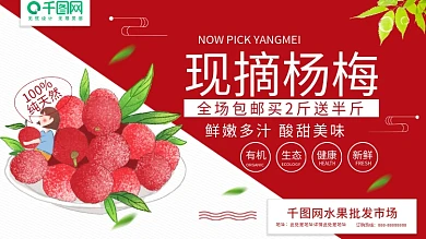 红色清新现摘杨梅新鲜杨梅水果批发促销海报