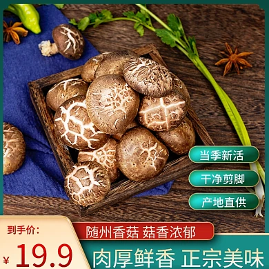 云南当季食品茶饮枸杞菌菇木耳香菇主图