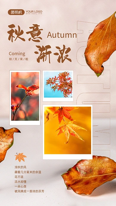 秋意渐浓秋天金黄摄影图手机海报