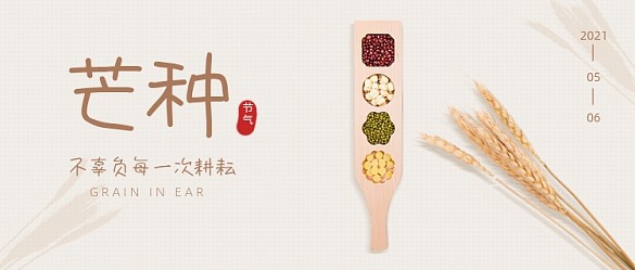 芒種節(jié)氣小麥五谷雜糧公眾號首圖